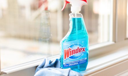 Grab A Deal On Windex This Week At Kroger – Save $2 Per Bottle!