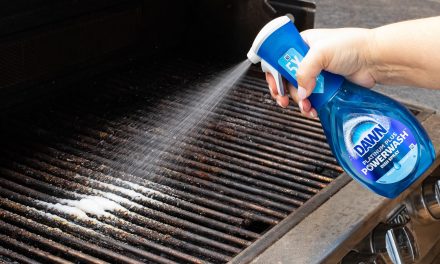 Get Dawn Powerwash Spray For Just $2.99 At Kroger