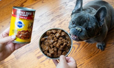 Get The Cans Of Pedigree Wet Dog Food As Low As $1.54 At Kroger