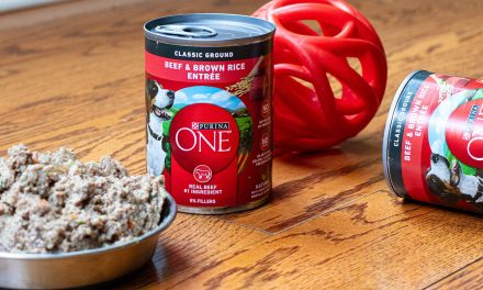 Get The Cans Of Purina One Wet Dog Food For Just $1.46 At Kroger