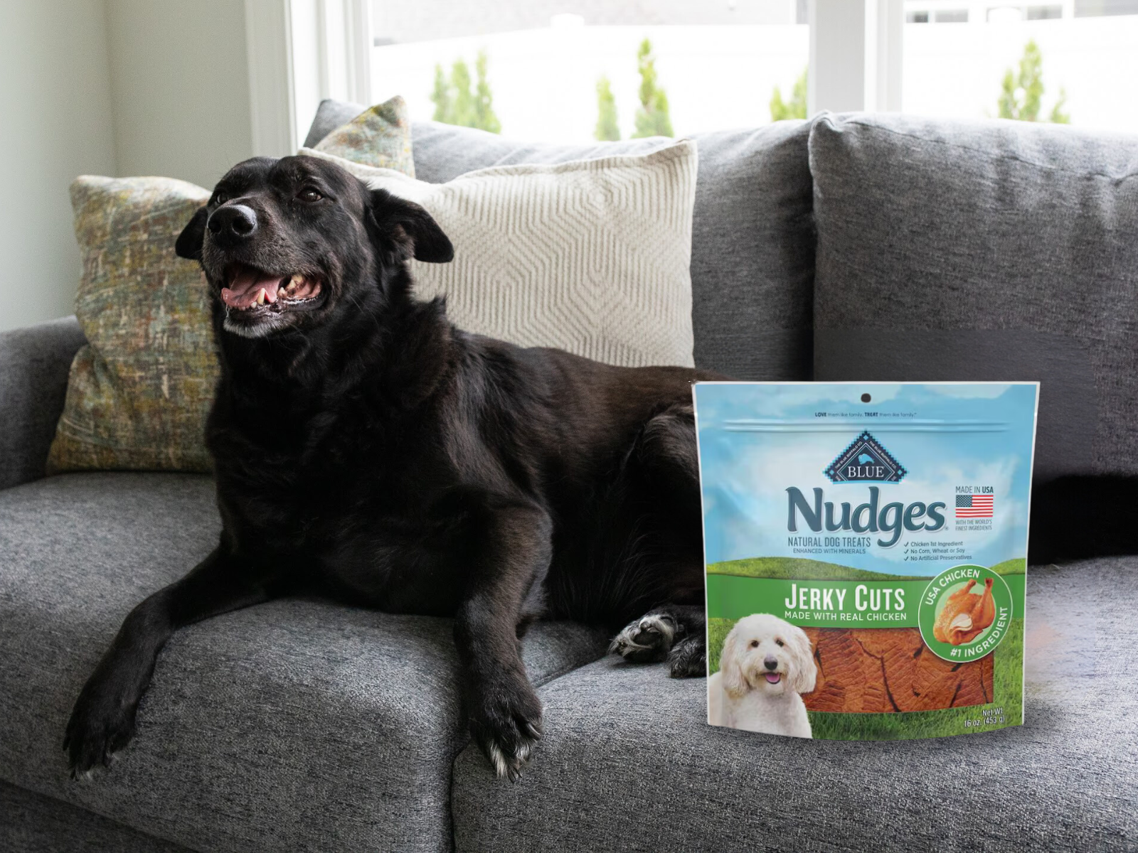 Blue Buffalo Nudges Dog Treats As Low As $4.50 At Kroger (Regular Price $12.99)