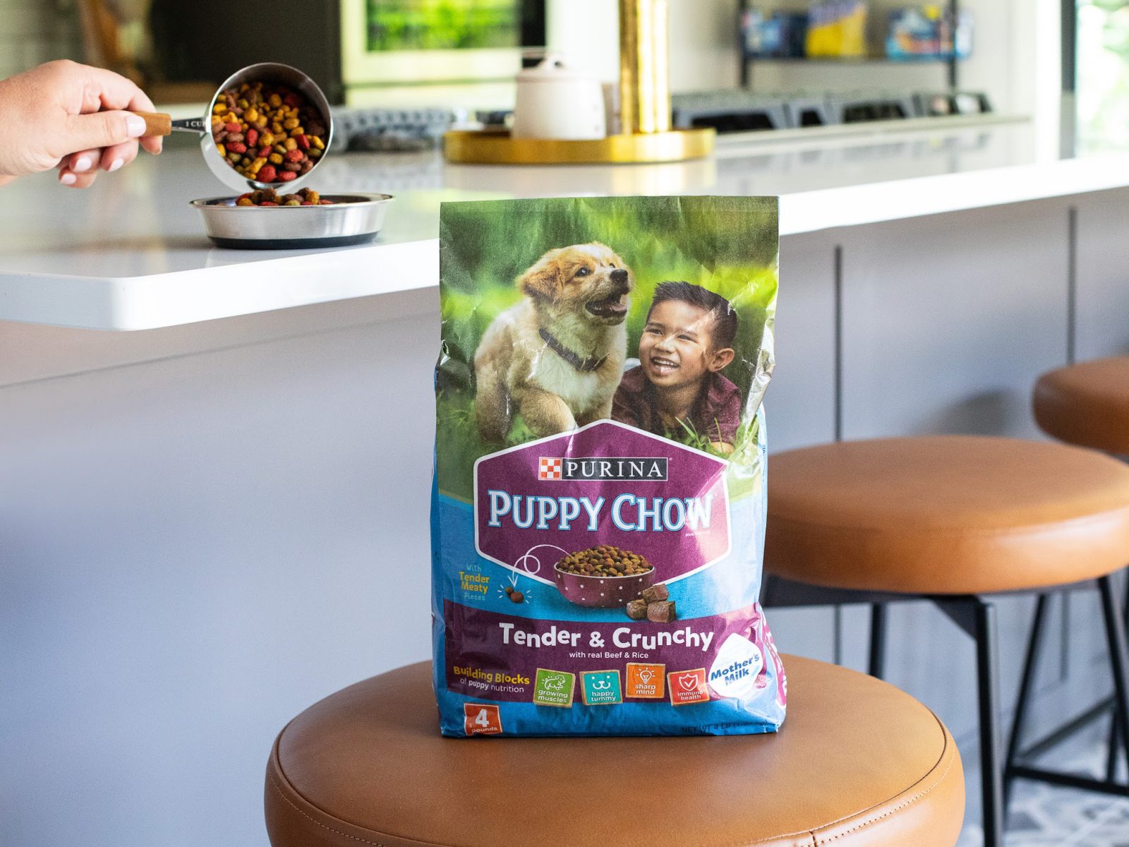 Get Purina Puppy Chow Dry Dog Food As Low As $3.49 At Kroger – Plus Cheap Kitten Chow