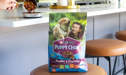 Get Purina Puppy Chow Dry Dog Food As Low As $3.49 At Kroger – Plus Cheap Kitten Chow