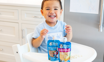 Gerber Natural Baby Food As Low As $1 Per Pouch At Kroger