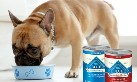 Blue Buffalo Wet Dog Food Just $2.74 At Kroger (Regular Price $4.19)