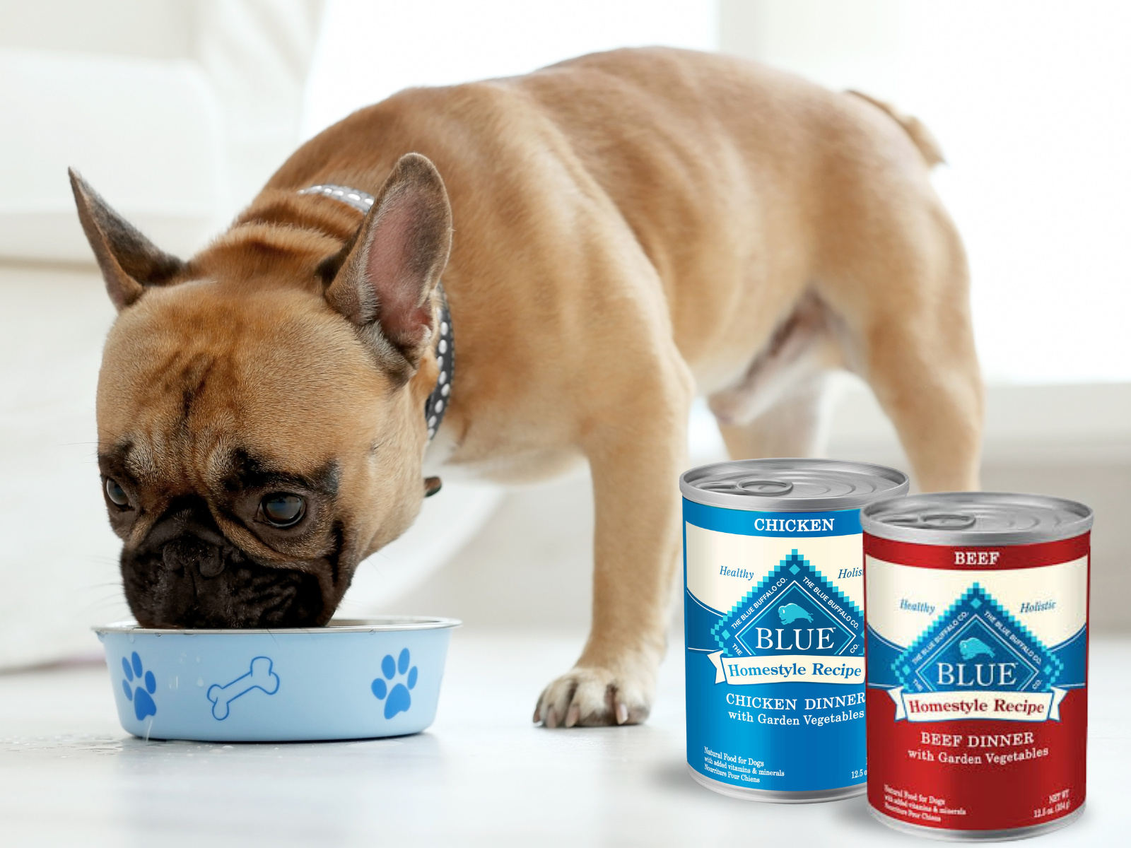 Blue Buffalo Wet Dog Food Just $2.74 At Kroger (Regular Price $4.19)