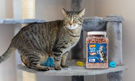 Get A Big Container Of Friskies Party Mix Cat Treats For Just $4.49 At Kroger (Regular Price $10.49)