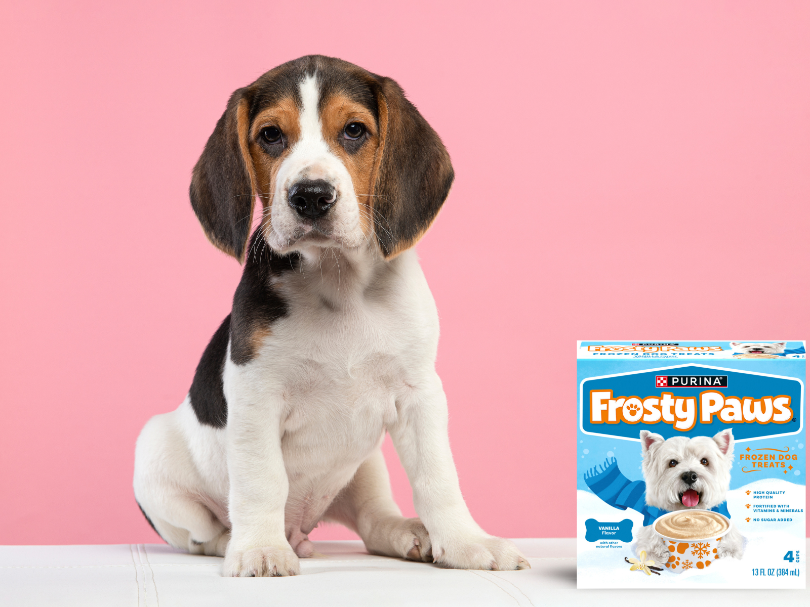 Frosty Paws Frozen Dog Treats 4-Packs Just $2.49 At Kroger