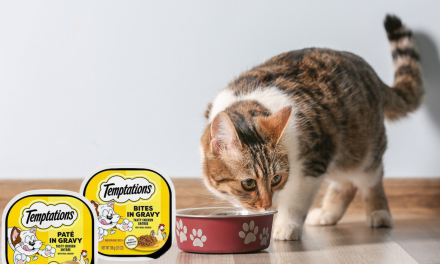 Get Temptations Wet Cat Food For Just 54¢ Per Container At Kroger