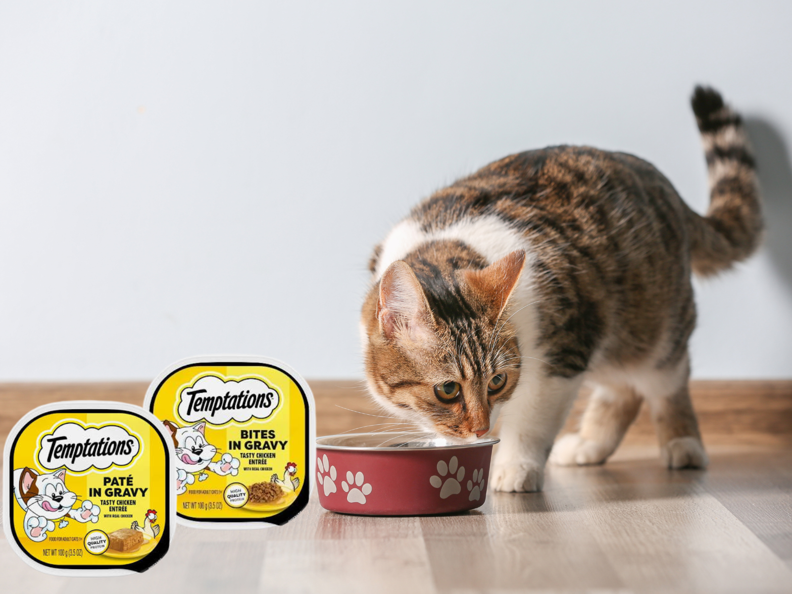 Get Temptations Wet Cat Food For Just 54¢ Per Container At Kroger