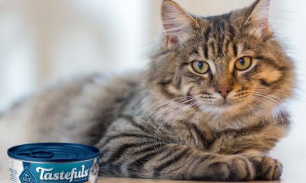 Blue Buffalo Tastefuls Wet Cat Food Just $1.04 Per Can At Kroger