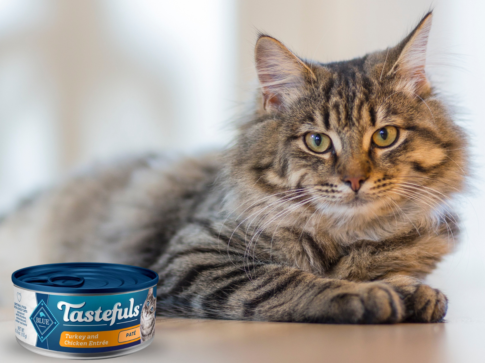 Blue Buffalo Tastefuls Wet Cat Food Just $1.04 Per Can At Kroger