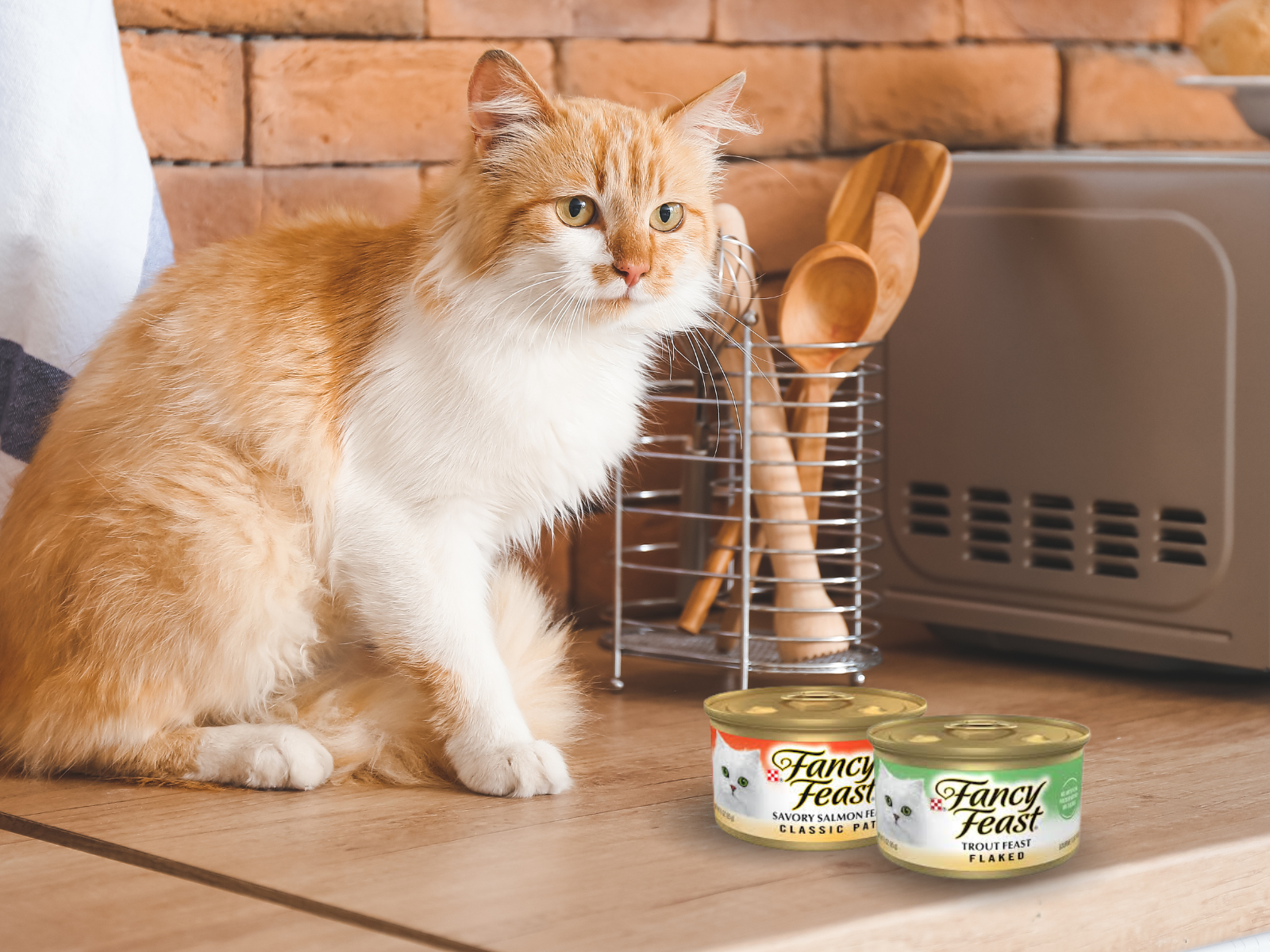 Fancy Feast Wet Cat Food Just 65¢ Per Can At Kroger